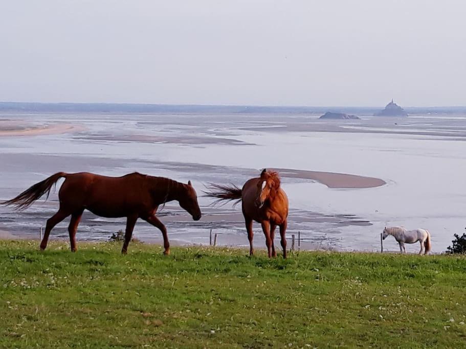 Maison Vue Sur Le Mont Saint Michel Et Sa Baie Champeaux Ngoại thất bức ảnh